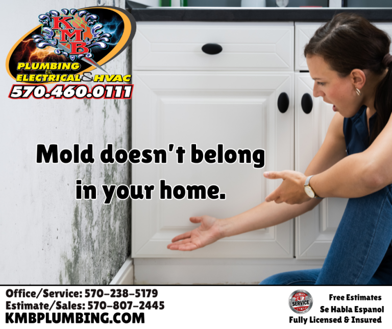 Mold problems?