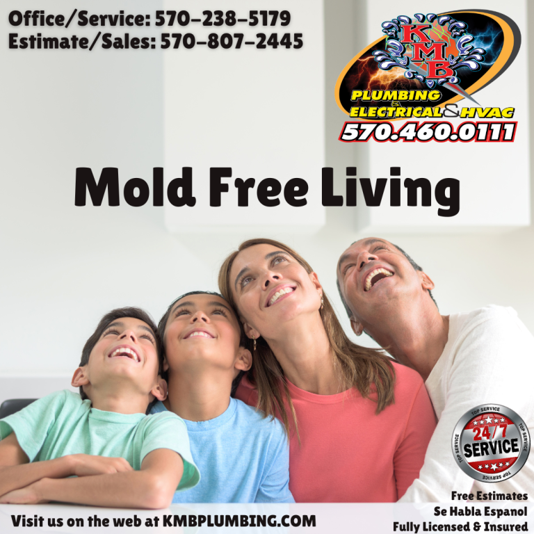 Got Mold?