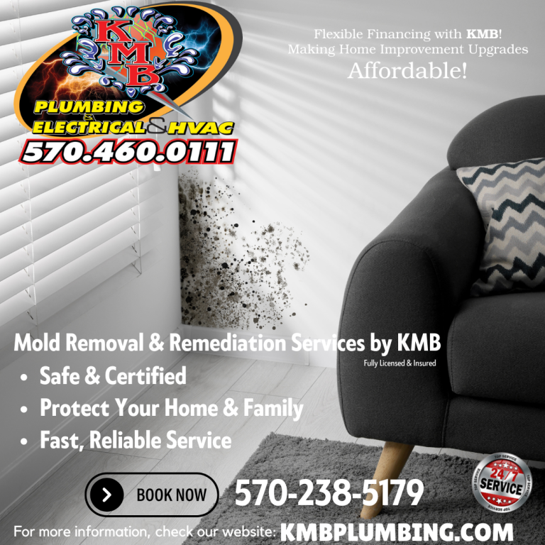 Mold in your home?